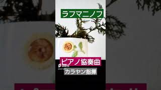 Download lagu ラフマニノフ ピアノ協奏曲 mp3 Download lagu ラフマニノフ ピアノ協奏曲 mp3
