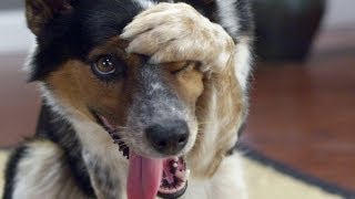 Proof Patience Is The Greatest Virtue In The World