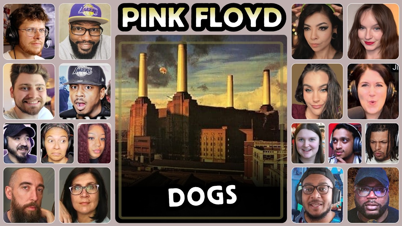 Pink Floyd - Dogs - Reaction Compilation