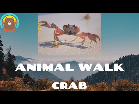 Animal Walks - Crab Walk