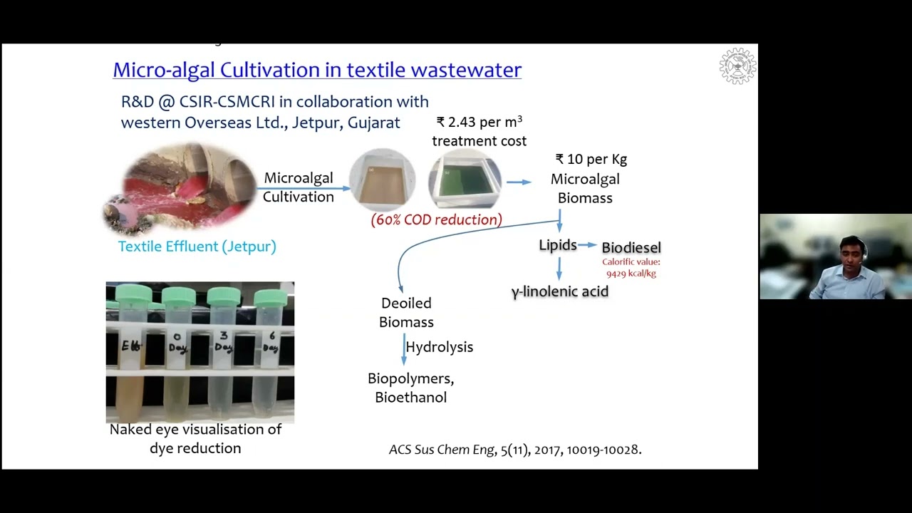 Biofuel from marine microalgae