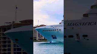 MSC Magnifica 🛳️ #like #share #comment #subscribe #cruiseship #cruise #vacation #shorts #short #fun