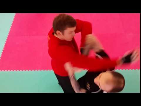Martial Arts Systematics - Kampfsport - Flow - Thomas Luber - Regensburg