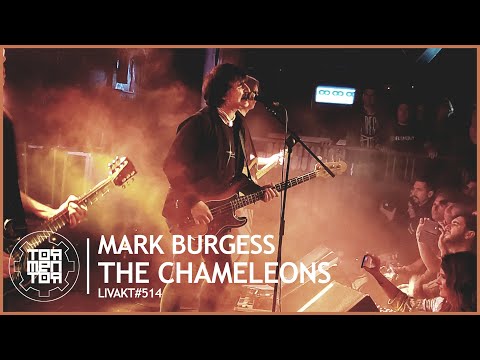 LIVAKT#514 : Mark Burgess | The Chameleons [INTERVIEW PART ONLY]