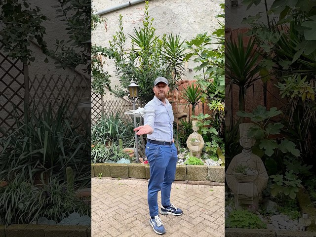 CASA D'EPOCA CON SOFFITTI AFFRESCATI A BAIRO: ELEGANZA E STORIA SU DUE LIVELLI