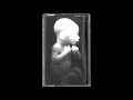 S H I T Demo 2012 Full Album