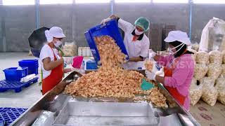 Download lagu LAPTOP SI UNYIL | SINGKONG JAGOAN (16/05/18) 1-3 mp3