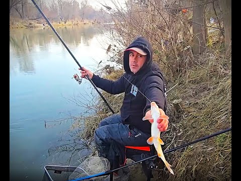 * Zimsko pecanje skobalja na hleb *