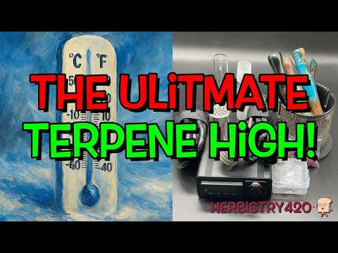 Taroma 360 Low Temp: 5 Best Ways to Chase the Terpene High