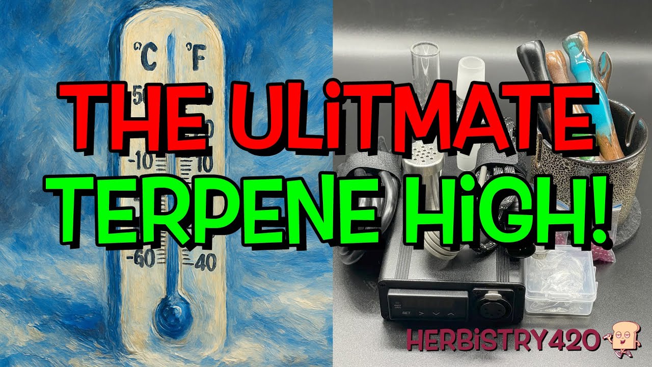 Taroma 360 Low Temp: 5 Best Ways to Chase the Terpene High