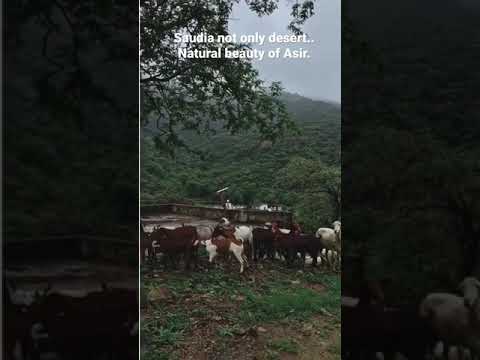 Natural village view of Asir Region, Abha, Saudi Arabia