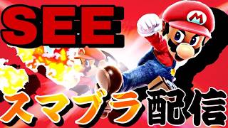 雑にならない【スマブラSP】