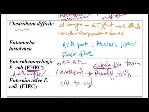 USMLE ACE Video 101: Infectious Causes of Diarrhea and Vomiting