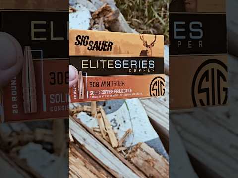 Is Budget Ammo as good as High End Ammo? #hornady #aac #federal #match #308