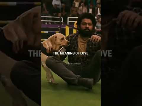 Dog lover status#shorts #dogslover