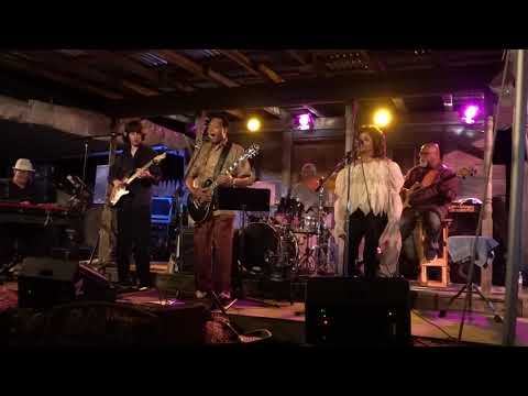 Thumbnail for Briggs Farm Blues Festival 2019: Lonnie Shields - Code Blue by Lonnie Shields