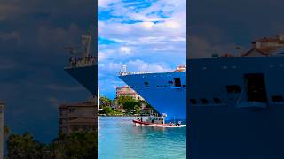 Freedom of the Seas 🛳️#like #share #comment #subscribe #cruiseship #cruise #vacation #shorts #short