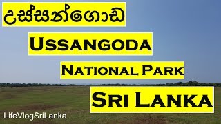 preview picture of video 'Ussangoda National Park Sri Lanka - Travel Vlog #3 - LifeVlogSriLanka'