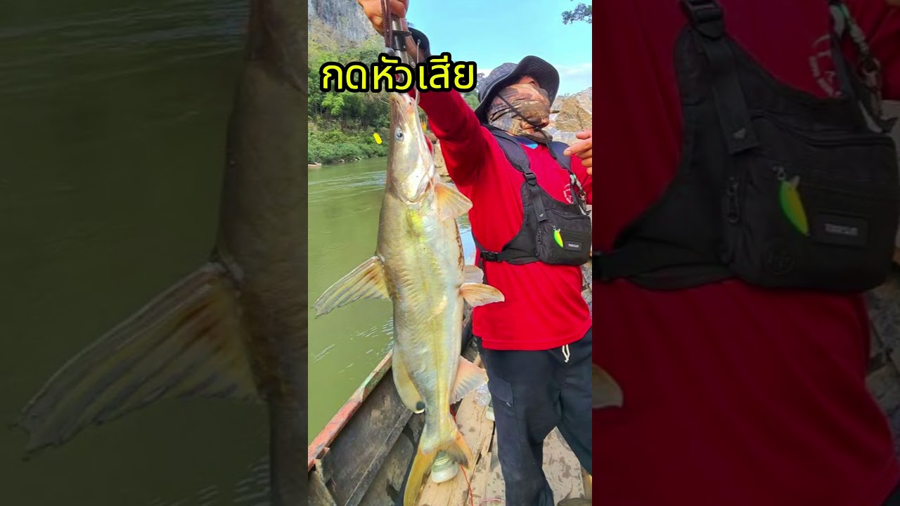 รวมวิธีตกปลาแม่น้ำเมย #fishing #shimano_fishing