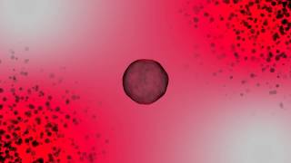 Burns - Lies (Otto Knows Remix) LYRICS (video edit)