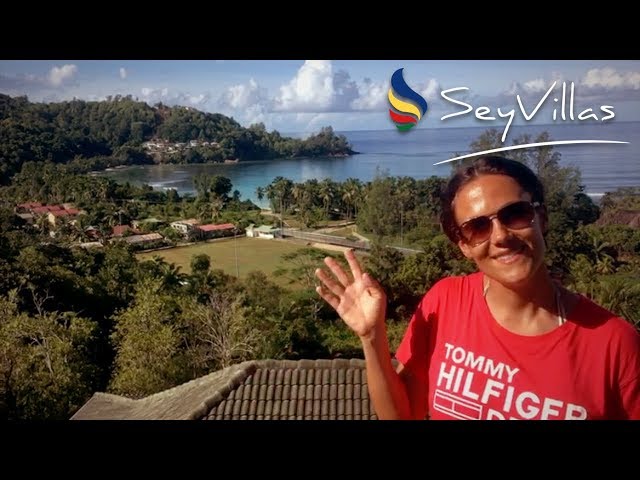 Video - Image - Honeymoon an den schönsten Stränden der Welt