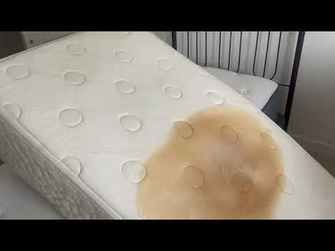 Multiple Mattresses Loaded with Bed Bugs in...