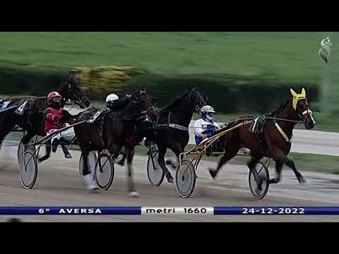 Aversa trotto 24 Dicembre 2022 - 6° Corsa