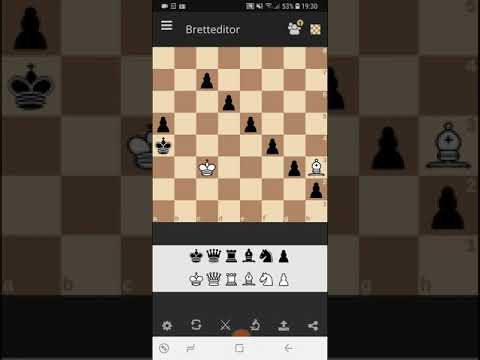 SCHACH GROSSE KLASSE SAM LOYD