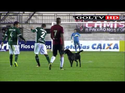 Brasil de Pelotas 2 x 1 Goiás - Gols - Campeonato Brasileiro Série B 2016 - 23ª rodada