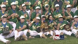 Hendricken baseball wins third straight title