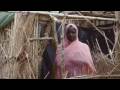 Mattafix - Living Darfur (With Intro By Tom Stoppard ...
