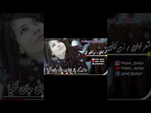 bol zaya nai janday pothwari sher