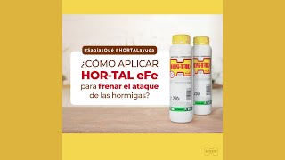 Video de HORTAL POLVO X 500GR POUCH
