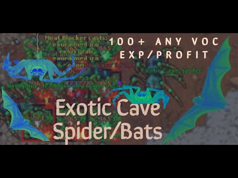 Tibia 2021 ENG - Issavi EXOTIC CAVE, SPIDER CAVE. The Complete Guide For ALL VOCS.  Profit/EXP HUNT.
