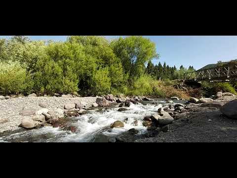 Rio BIO BIO, Lonquimay.