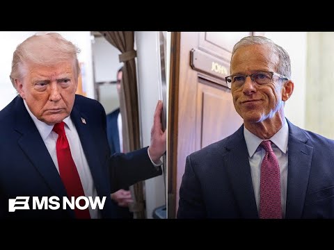 'Survival': Senate GOP gives in to Trump yet again