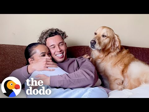 Golden Is Reluctant To Accept Dad's New Girlfriend | The Dodo