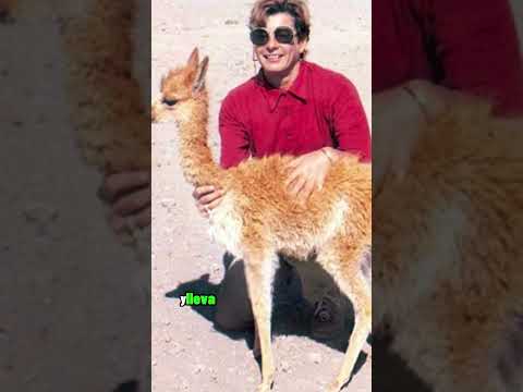 Pampa Galeras Bárbara D’Achille