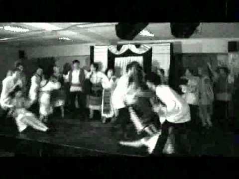 Daniel Mecu-anton pann-examan actorie