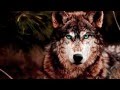 Karunesh--Call Of The Tribes 