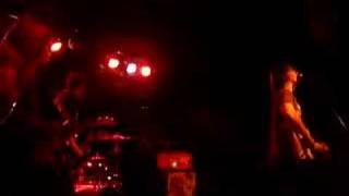 Between The Trees - The Forward