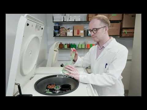 Modified bacteria convert plastic waste into pain reliever