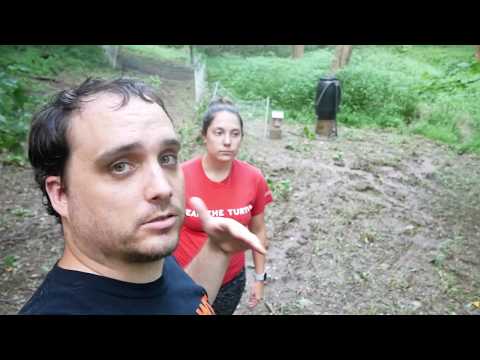 How we pasture our pig through the WOODS w/ Premier 1 Fencing