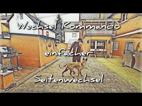 Seitenwechsel Hund, ganz einfach mit Wechsel Kommando - Mit Malinois Zeus - Belgischer Schäferhund