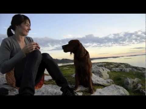 En sommer i Rørvik og Vikna