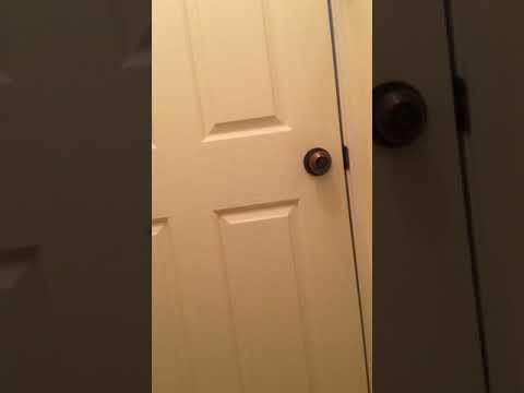 Whispering sex from inside a toilet