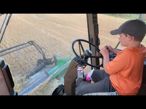 Keegans first time running combine! oats are in the bin amd cutting canola!