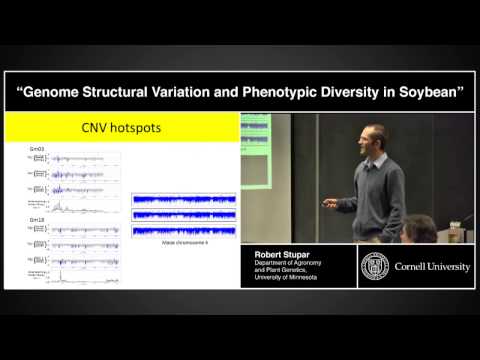 Genome Structural Variation and Phenotypic Diversity in Soybean - Robert Stupar