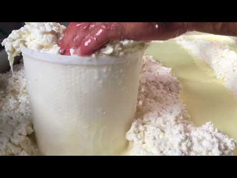 Siciliani Creativi - Il pecorino di Osilo - Sardinian pecorino cheese from Osilo