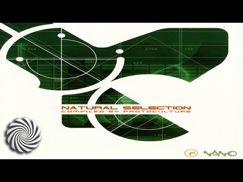 Silicon Sounds - Nexus 6 (Protoculture Remix)